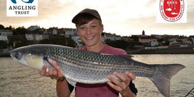 British record mullet 2015.png